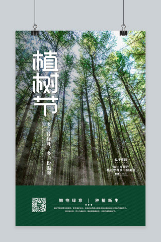渐绿色海报模板_植树节树林绿色简约海报