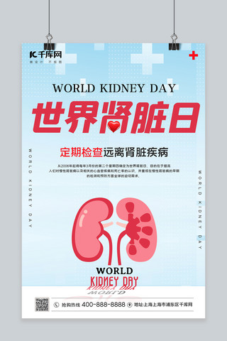 世界肾脏日肾脏医疗红色简约海报
