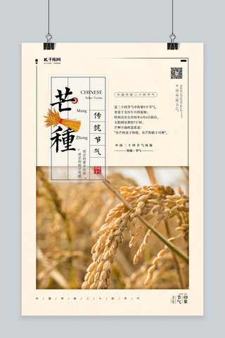 稻子描边花海报模板_芒种稻子黄色简约海报