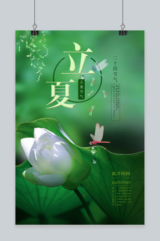 手捻莲花海报模板_立夏莲花，蜻蜓绿色清新海报