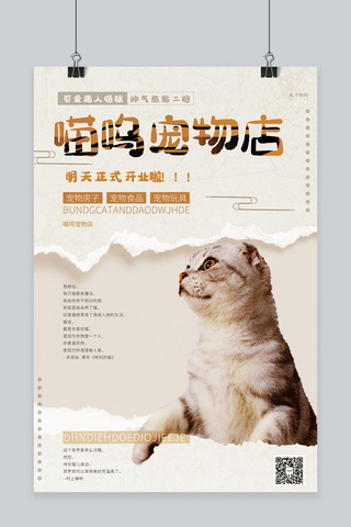 猫咪提示牌海报模板_宠物店猫咪灰色撕纸风海报