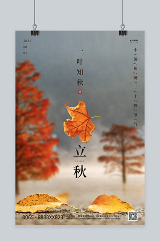 立秋节气枫叶黄色创意简洁海报