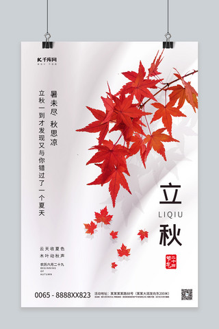 立秋节气枫叶白色创意简洁海报