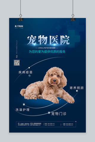 宠物创意海报海报模板_宠物医院狗狗蓝色创意海报