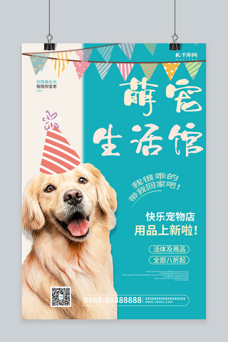 宠物店促销蓝色创意海报