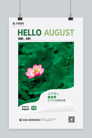 8月你好荷花绿色简约海报