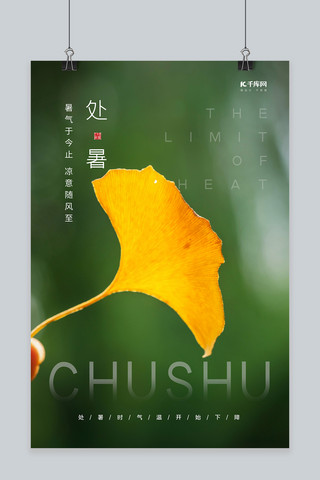 处暑秋季银杏叶绿色摄影图节气海报