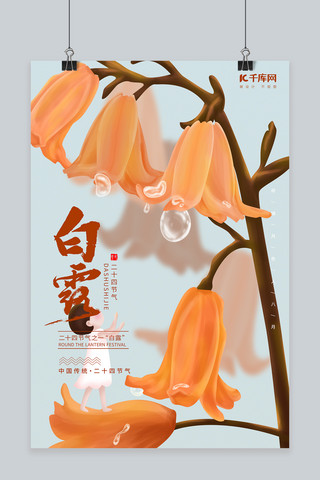 ui橙色海报模板_白露柿子花橙色简洁插画海报