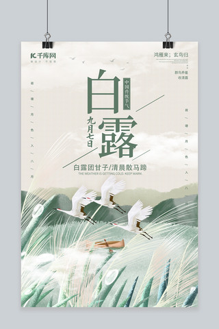 二十四节气白露芦苇海报模板_白露芦苇湖墨绿色中国风海报
