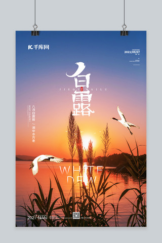 白露芦苇蓝色简约海报