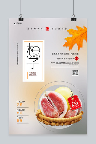 秋季美食柚子白色创意海报