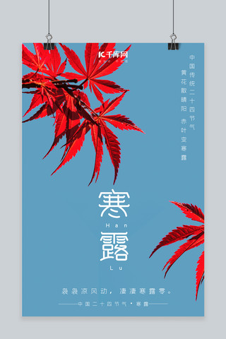 寒露植物海报模板_寒露红色的枫叶蓝色简约海报