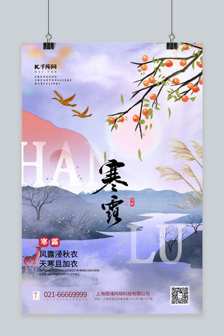 寒露柿子紫色中国风海报