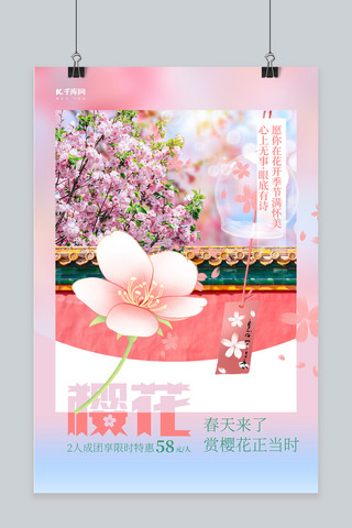 春天樱花粉色海报模板_春天赏樱樱花粉色简约海报