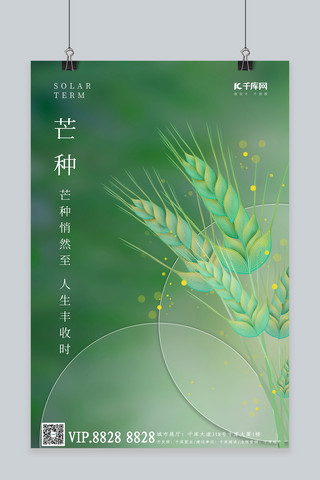 芒种节气麦穗绿色简约海报