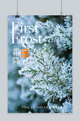 霜降树枝绿色摄影图海报