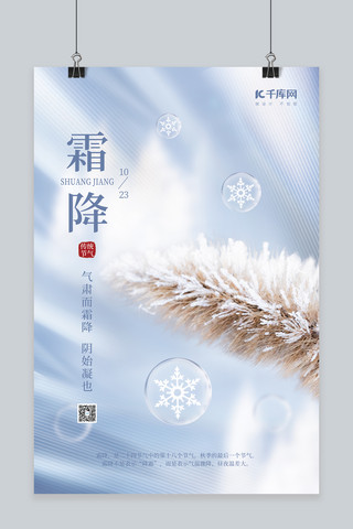 霜降节气雪花毛毛草浅蓝简约海报