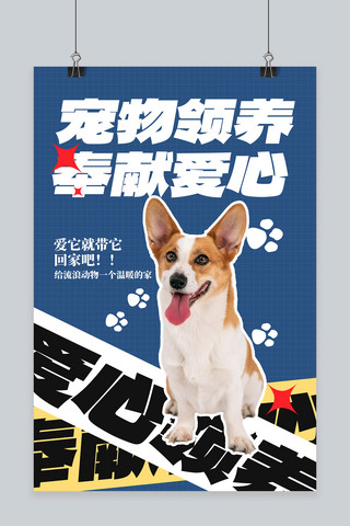 狗狗创意海报海报模板_宠物领养狗狗 星星蓝色创意海报
