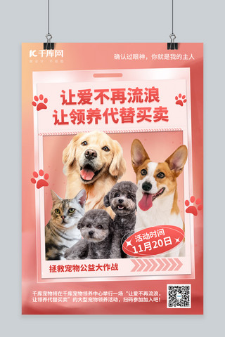 宠物海报海报模板_宠物领养猫狗暖色卡通海报