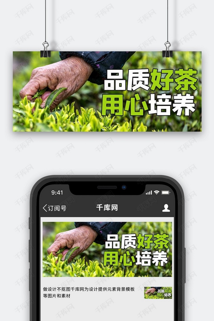 茶叶促销摄影图绿色商务风公众号首图