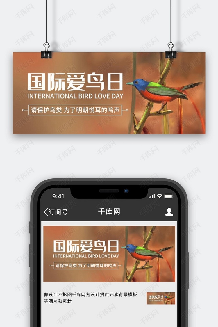 国际爱鸟日保护鸟类彩色卡通公众号首图