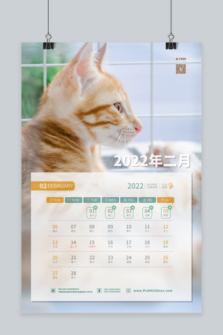 2022日历猫猫白色简约海报