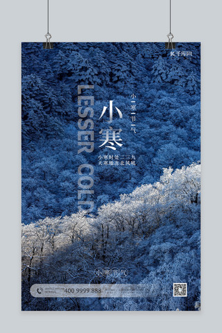 商用摄影海报海报模板_小寒节气树木蓝色简约海报