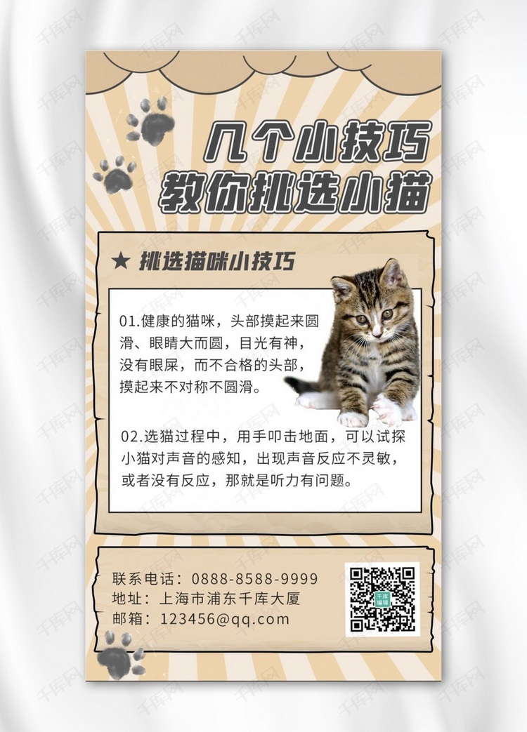 宠物攻略猫咪棕色可爱海报