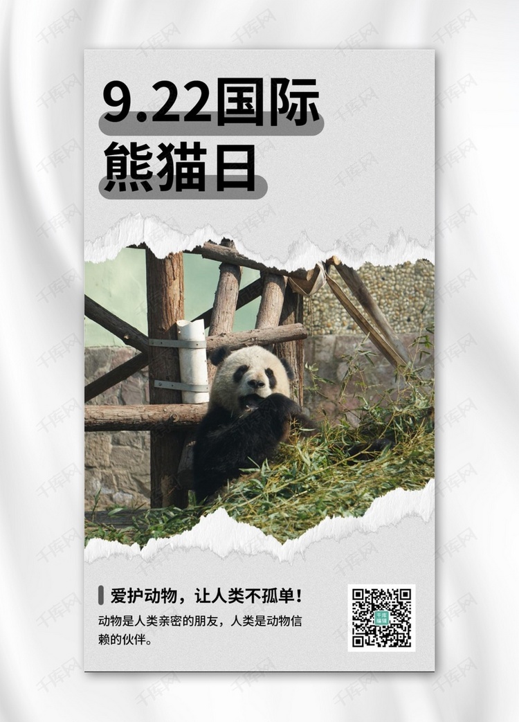 国际熊猫节撕纸风国际熊猫节灰色撕纸风手机海报