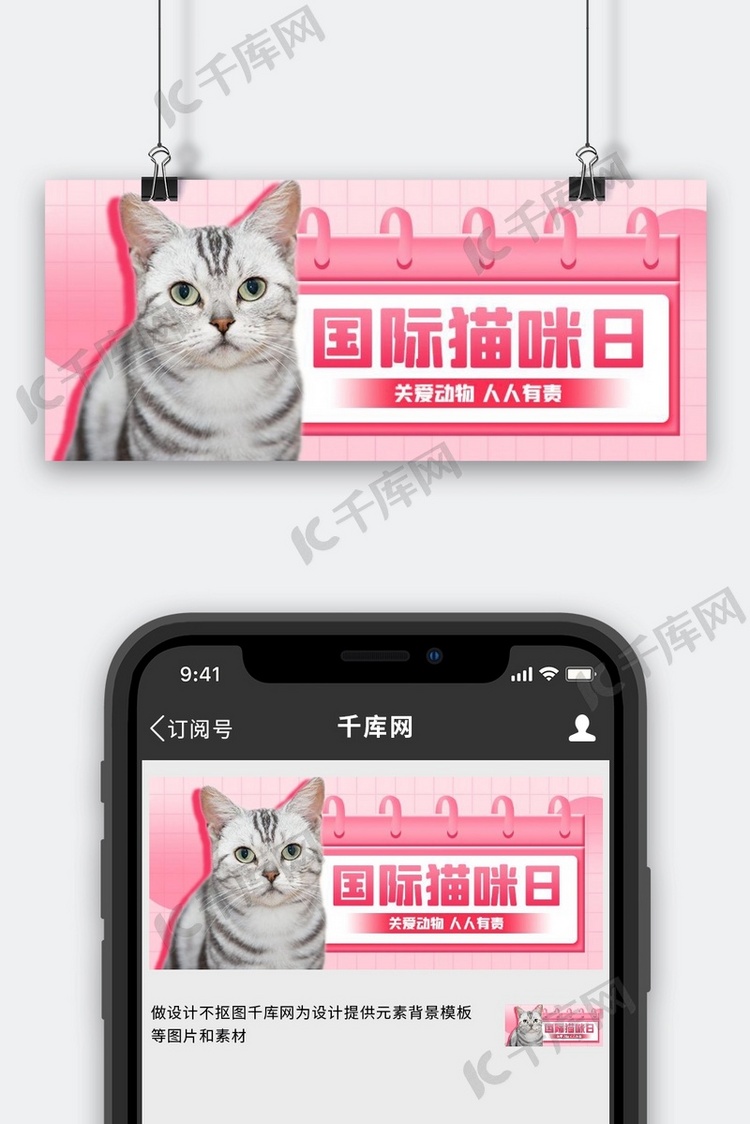国际猫咪日 节日科普粉色简约扁平公众号首图