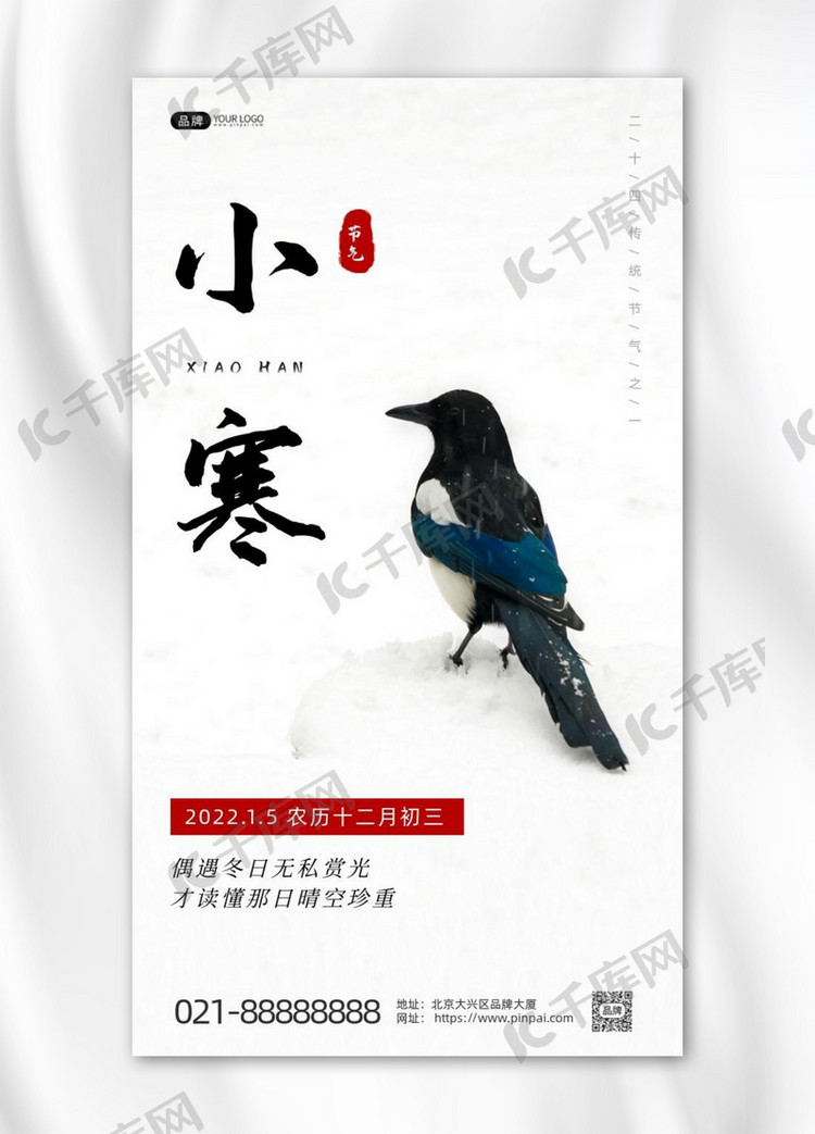 小寒节气鸟在冬天雪地摄影图海报