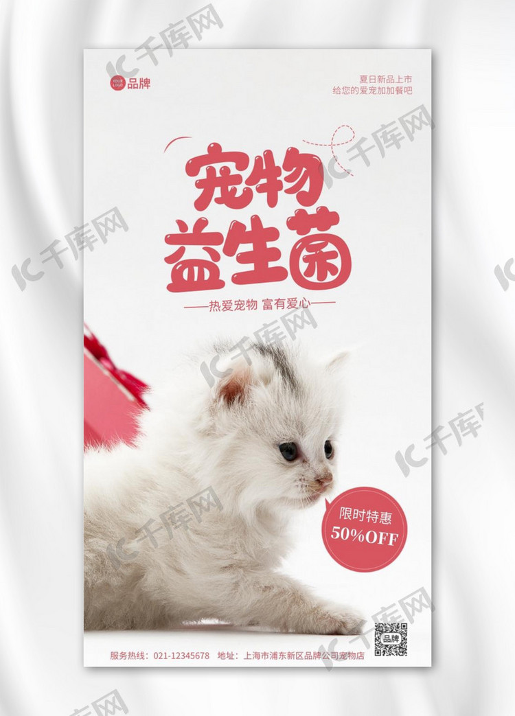 宠物益生菌白色猫咪背景摄影图海报