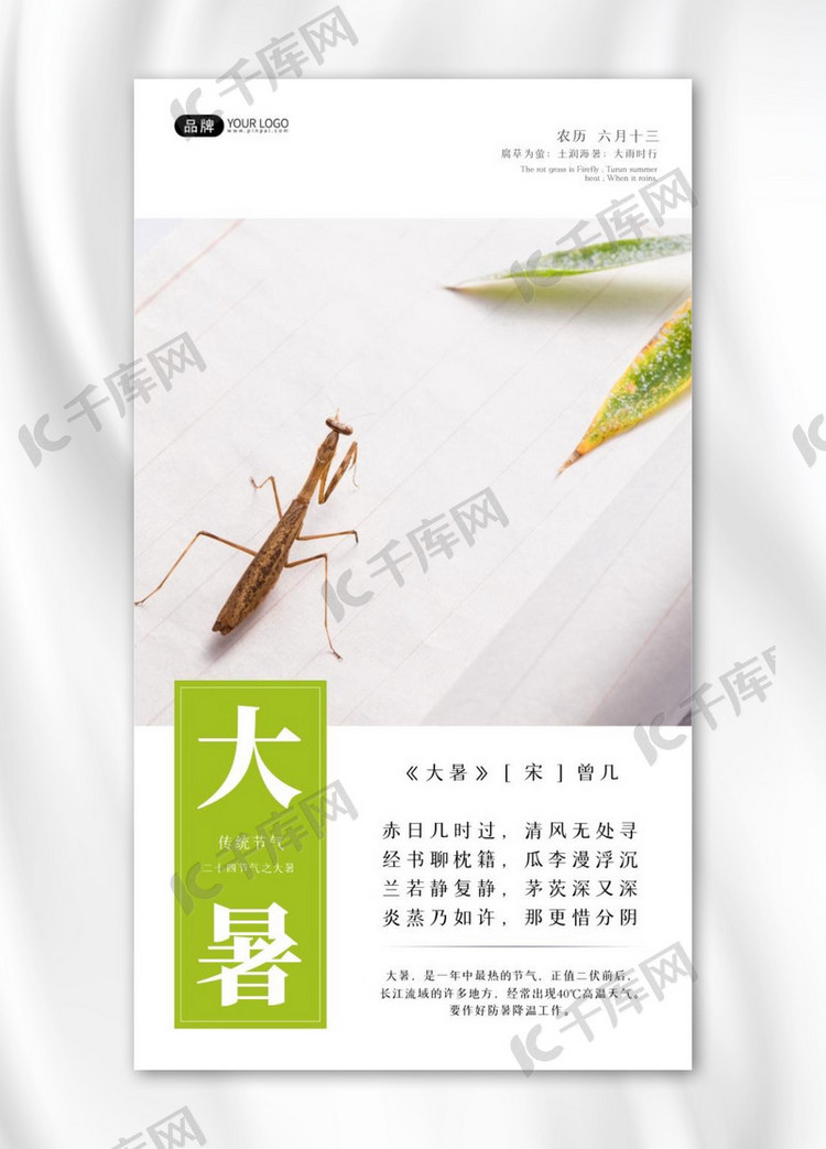 大暑节气螳螂在纸上叶子方框摄影图海报