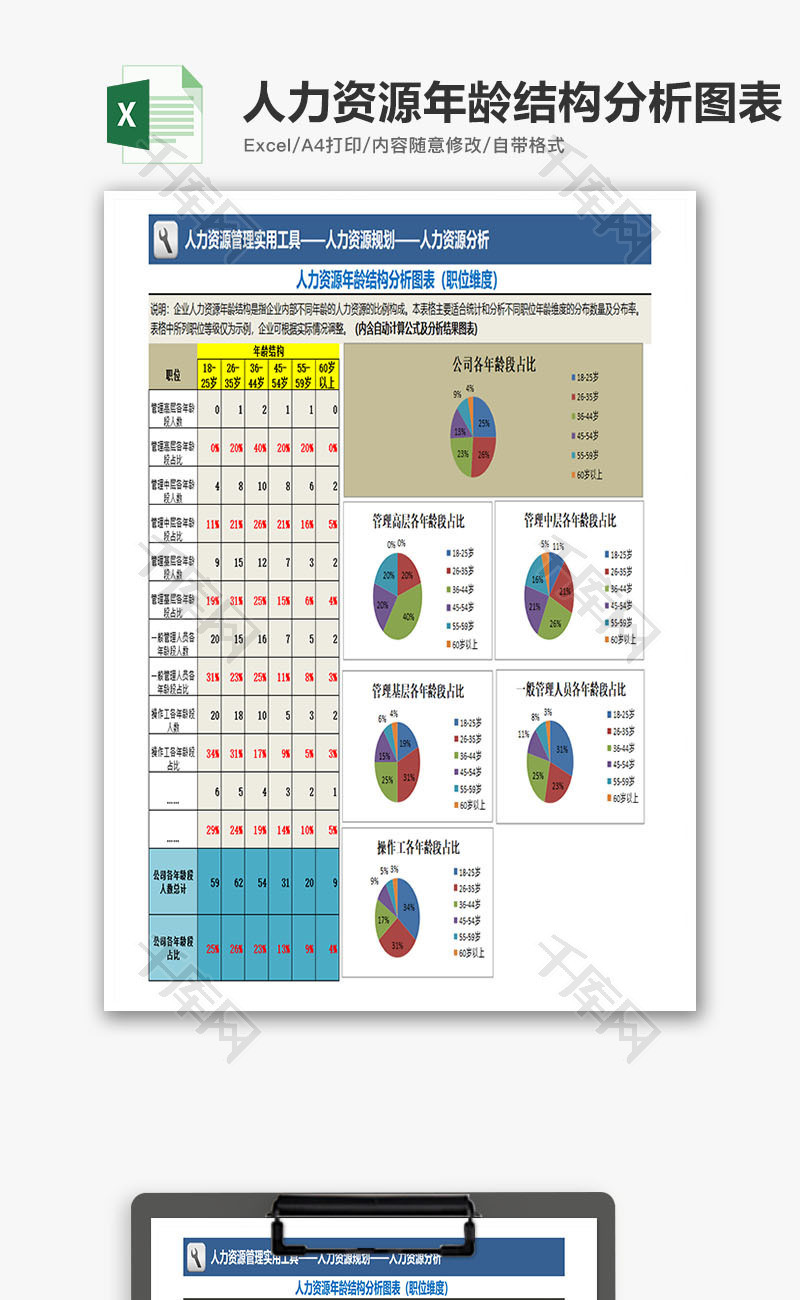 人力资源年龄结构分析图表