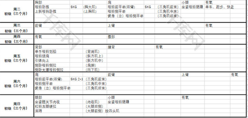 个人个人初级健身训练计划Excel模板