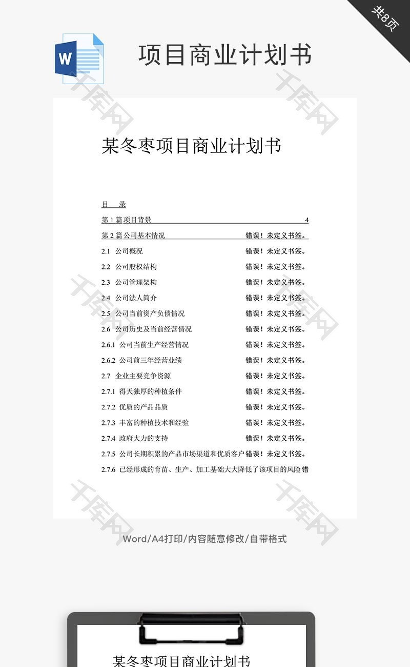 项目投资计划书word文档