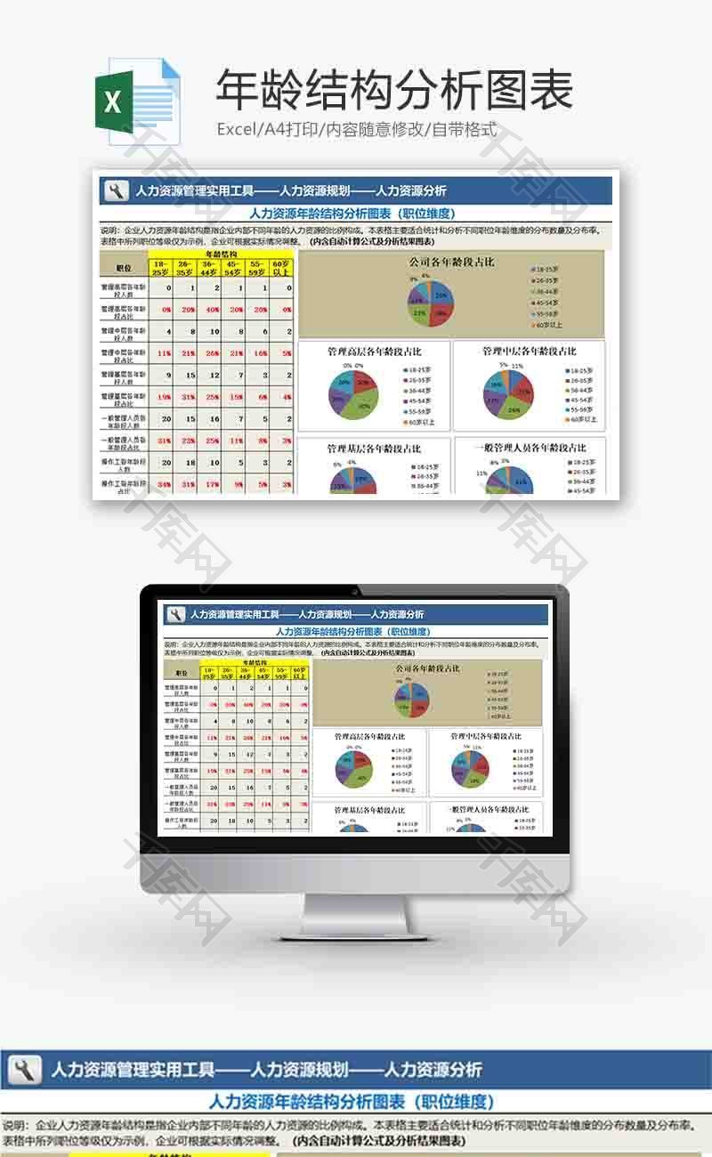 人力资源年龄结构分析饼形图excel模板