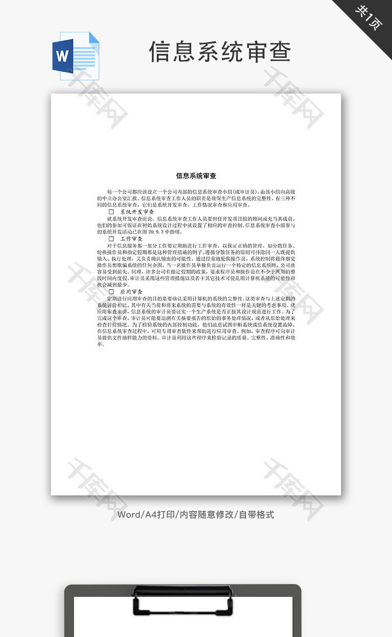 信息系统审查Word文档