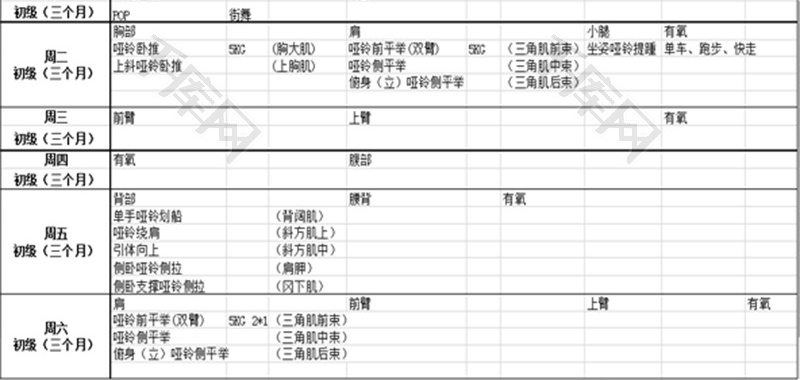 个人适合初级健身训练计划Excel模板