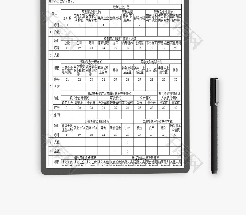 改制企业职工情况表Excel模板