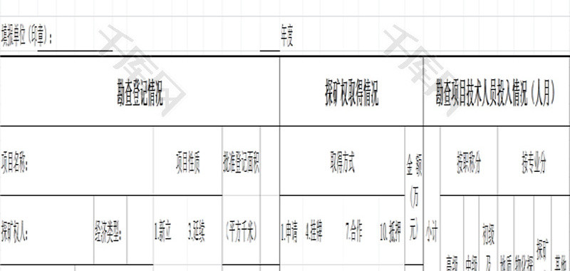 登记项目情况表EXCEL模板