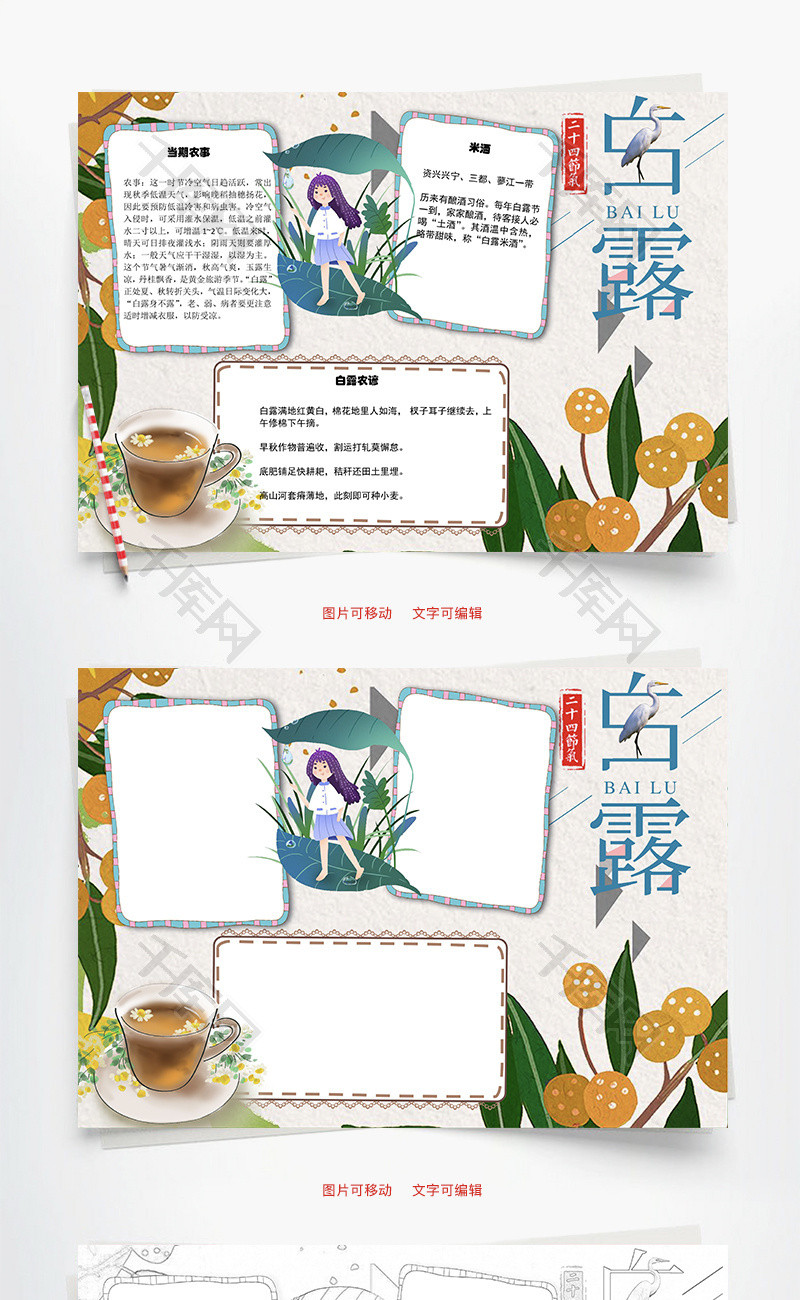 白露米酒word小报手抄报模板