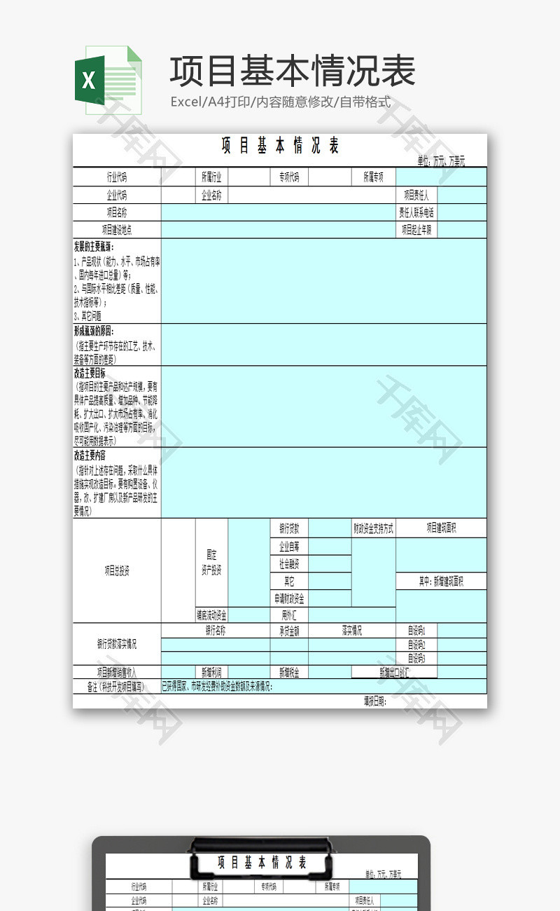 项目基本情况表EXCEL模板