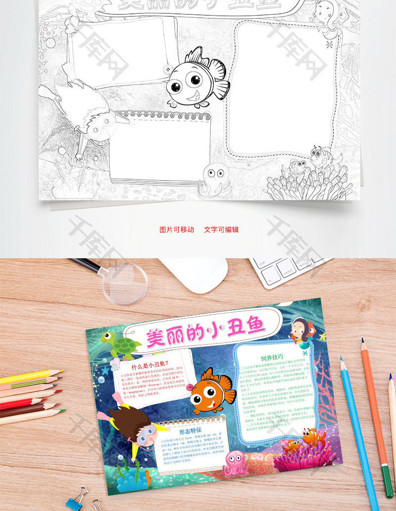 美丽的小丑鱼word手抄报