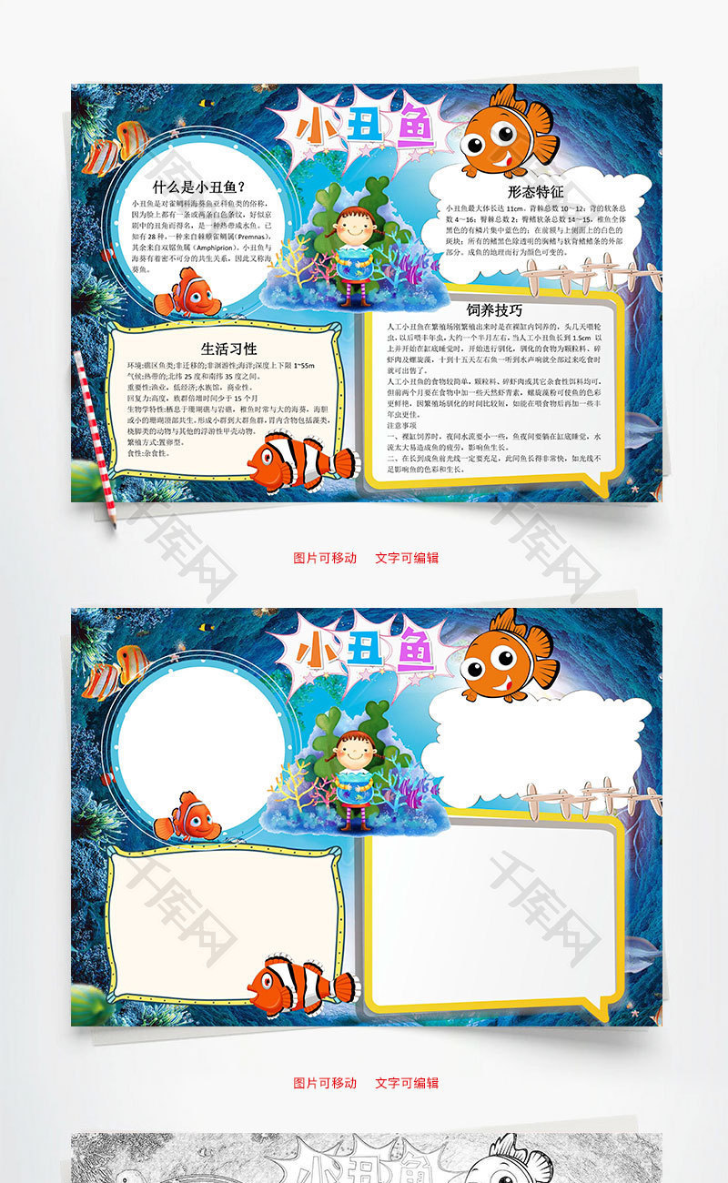 蓝色可爱小丑鱼word手抄报