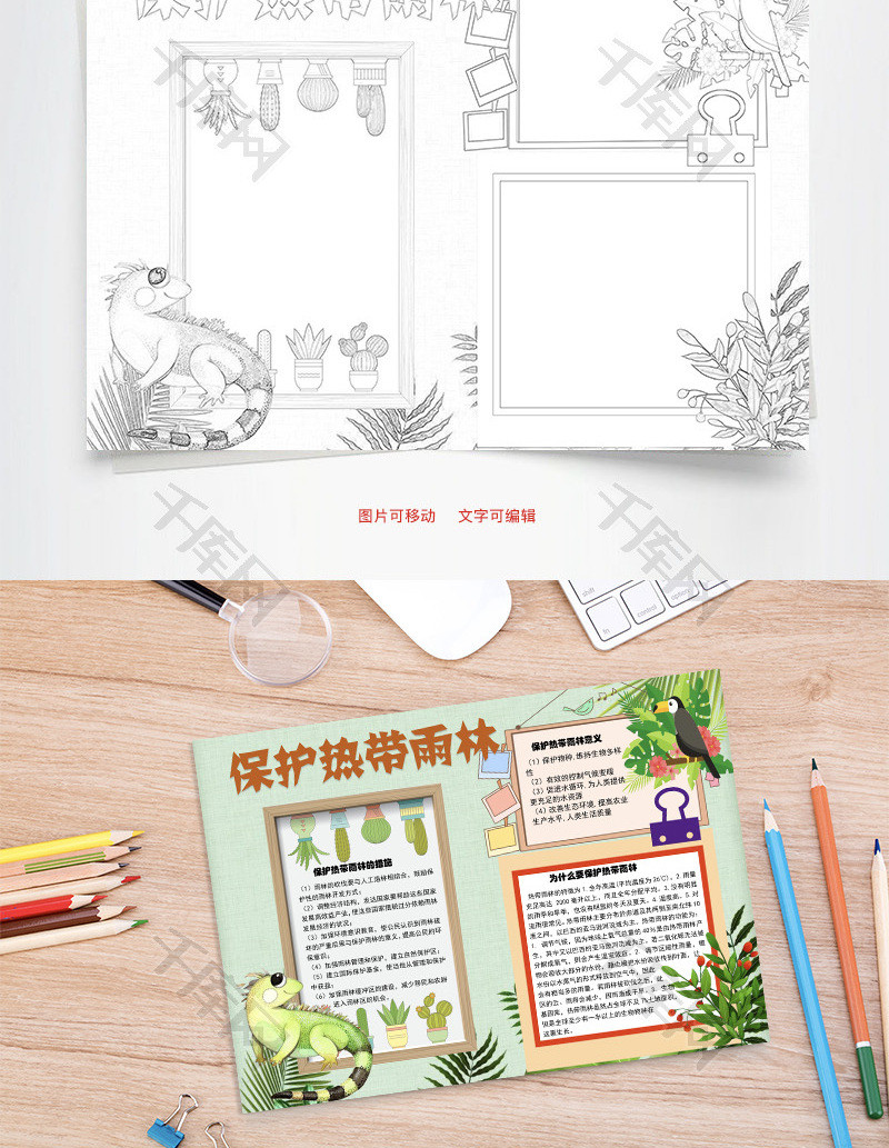 保护热带雨林措施word手抄报