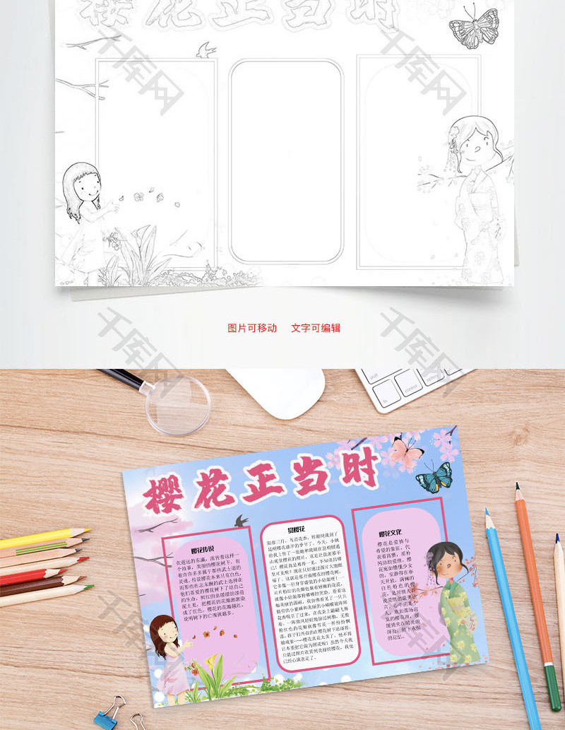 樱花正当时word手抄报