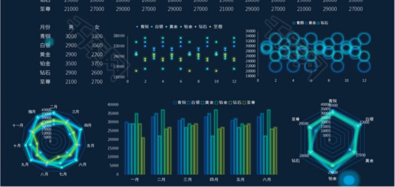 大数据科技会员登记表Excel模板