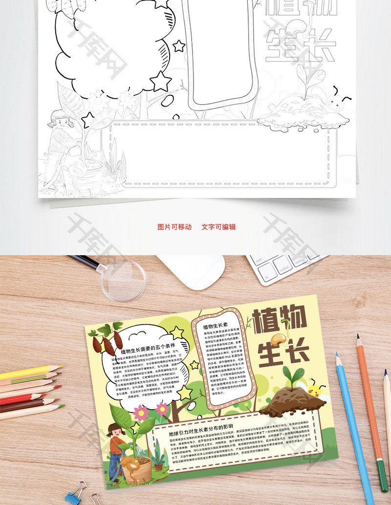 植物生长光合word手抄报