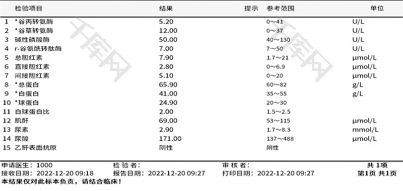 肝功肾功检验报告单Excel模板